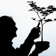 Avatar de Usuario