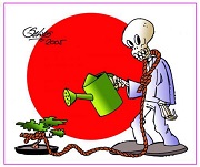 Avatar de Usuario