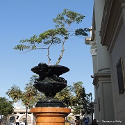 Avatar de Usuario