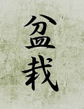 Avatar de Usuario