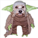 Avatar de Usuario