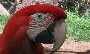 Avatar de Usuario