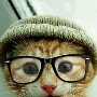 Avatar de Usuario