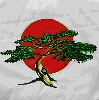 Avatar de Usuario