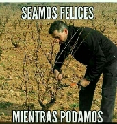 Avatar de Usuario