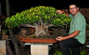 Avatar de Usuario